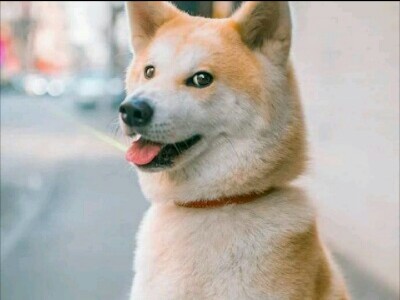 校霸大哥总是生气怎么办